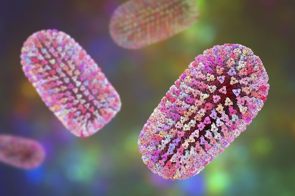 rabies composite