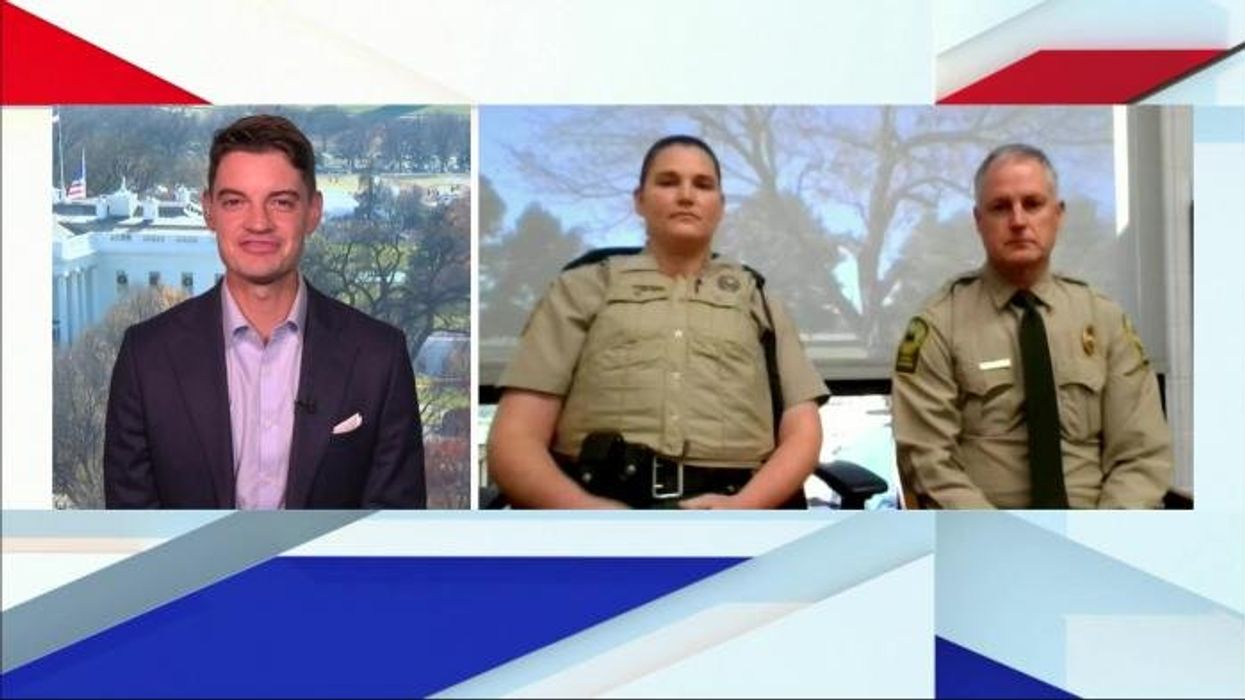 Mischievous raccoon responsible for drunken rampage in booze store suspected of other 'break-ins'