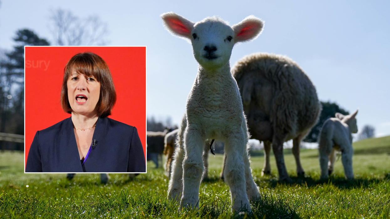 Rachel Reeves / Farming