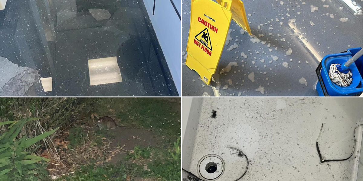 NextImg:'Rats, leaks and mould': Soldiers slumming it in ‘unlivable’ block at RAF base deemed 'worst ever'