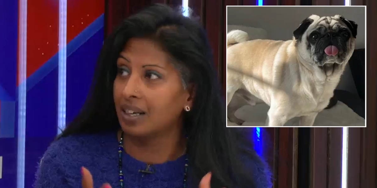 NextImg:RAF hero’s wife suffers panic attacks after machete-wielding robbers stole dog in horror ordeal