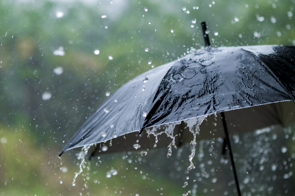 Rain falling on black umbrella