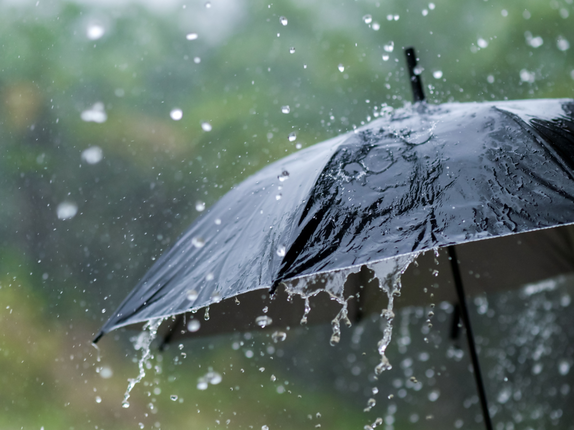 Rain falling on black umbrella
