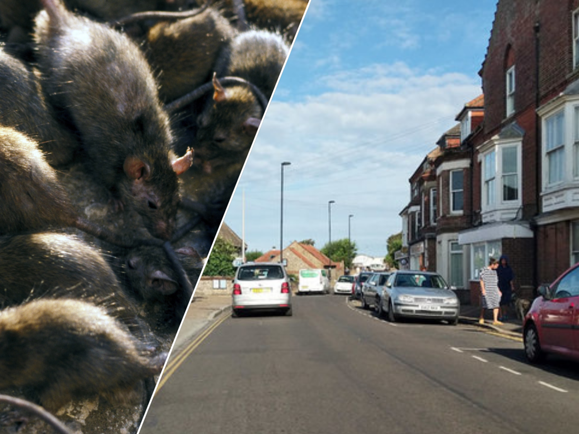 Rats/East Runton High Street