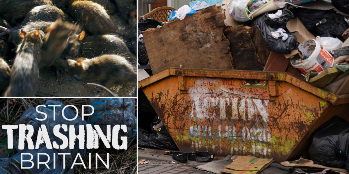 NextImg:Woman left stranded after 'rats size of cats' gnaw through car's wiring amid Birmingham bin strike