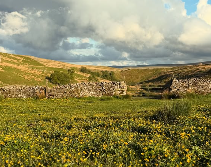 Ravenseat Farm