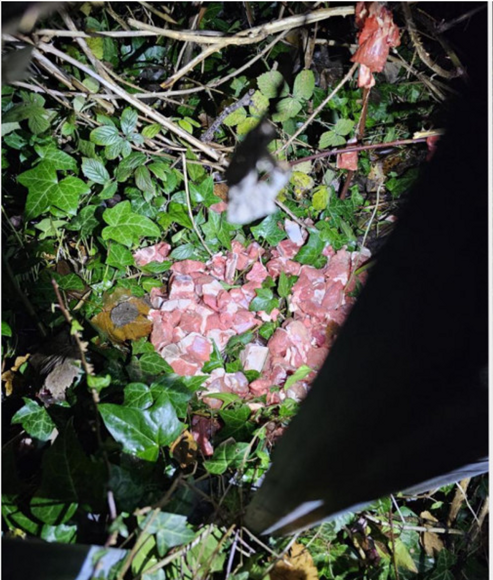 Raw meat dumped on ground