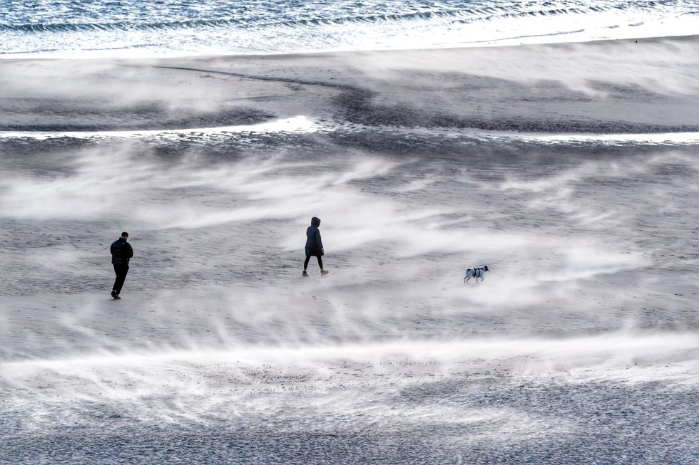 RE-TRANSMITTING PHOTO ADDING PHOTOGRAPHERS NAME People walking a dog on Tynemouth beach on the North east coast, as Storm Otto hits parts of Scotland and north-east England as it moves across the UK on Friday.