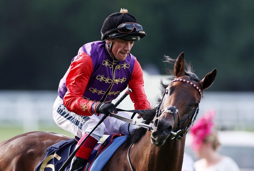 Reach For The Moon has never competed over hurdles