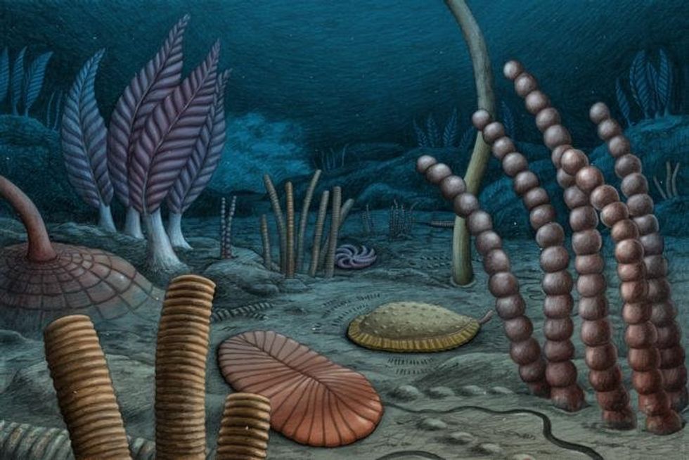 Reconstruction of a hypothetical deep-water paleocommunity