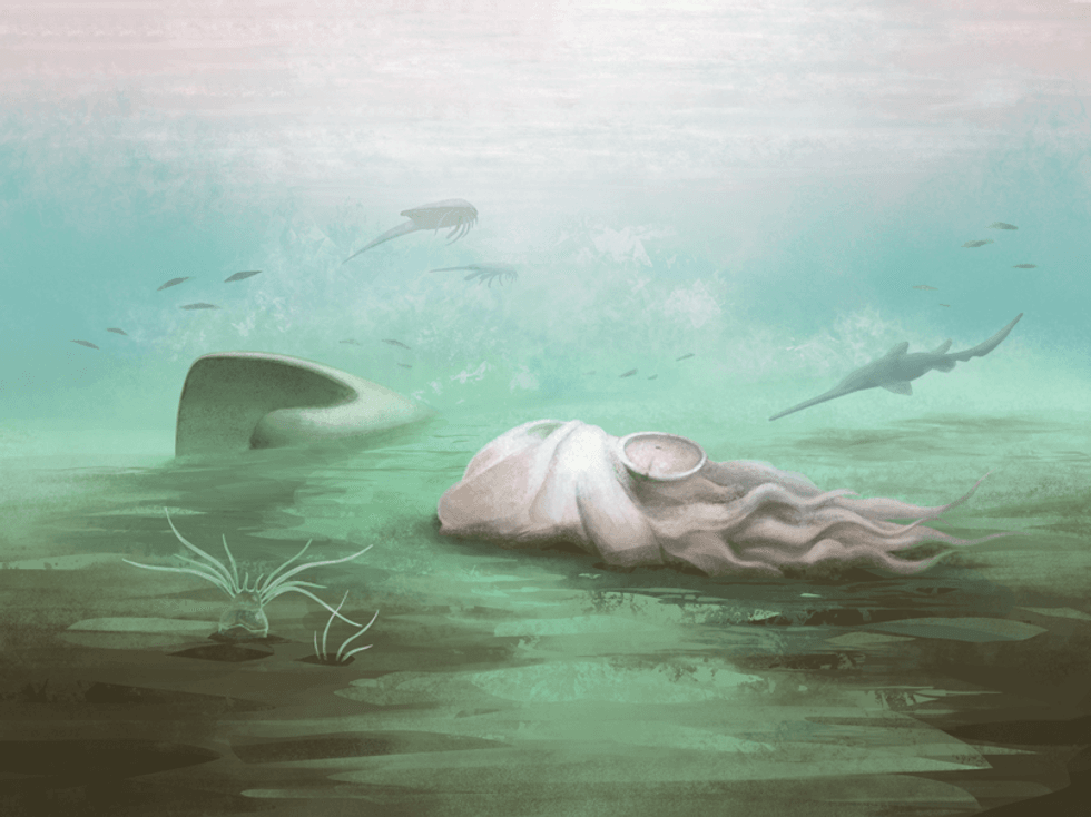 Reconstruction of a Paleocadmus decaying prior to burial in the Mazon Creek marine basin