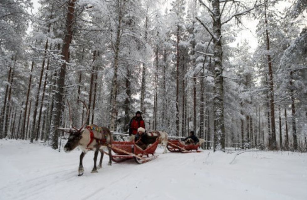 Reindeer ride in Lapland