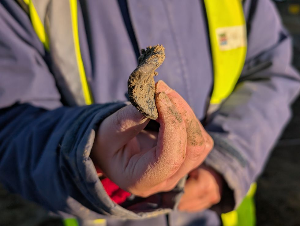 Remains discovered during archaeological dig at village near Cotswolds
