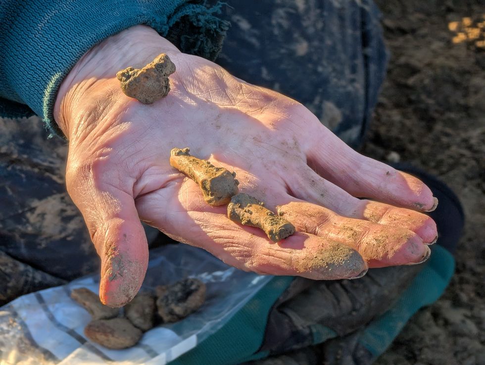 Remains found in archaeological dig near Cotswolds village