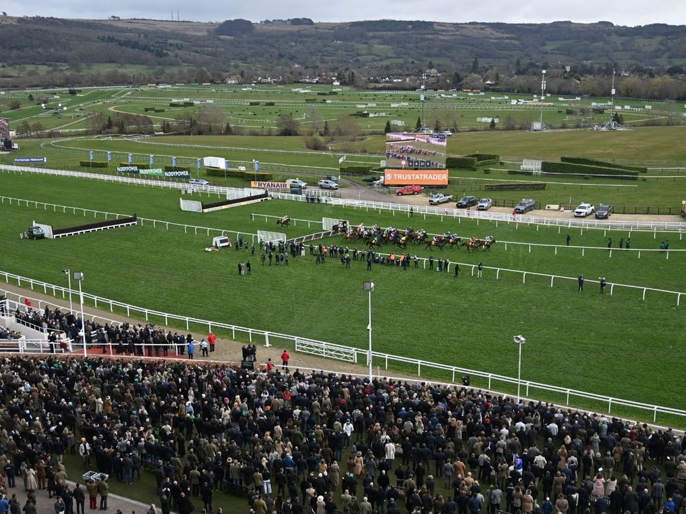 Removing a horse from one race does not necessarily end their Festival involvement, as many are simply being redirected to their primary targets