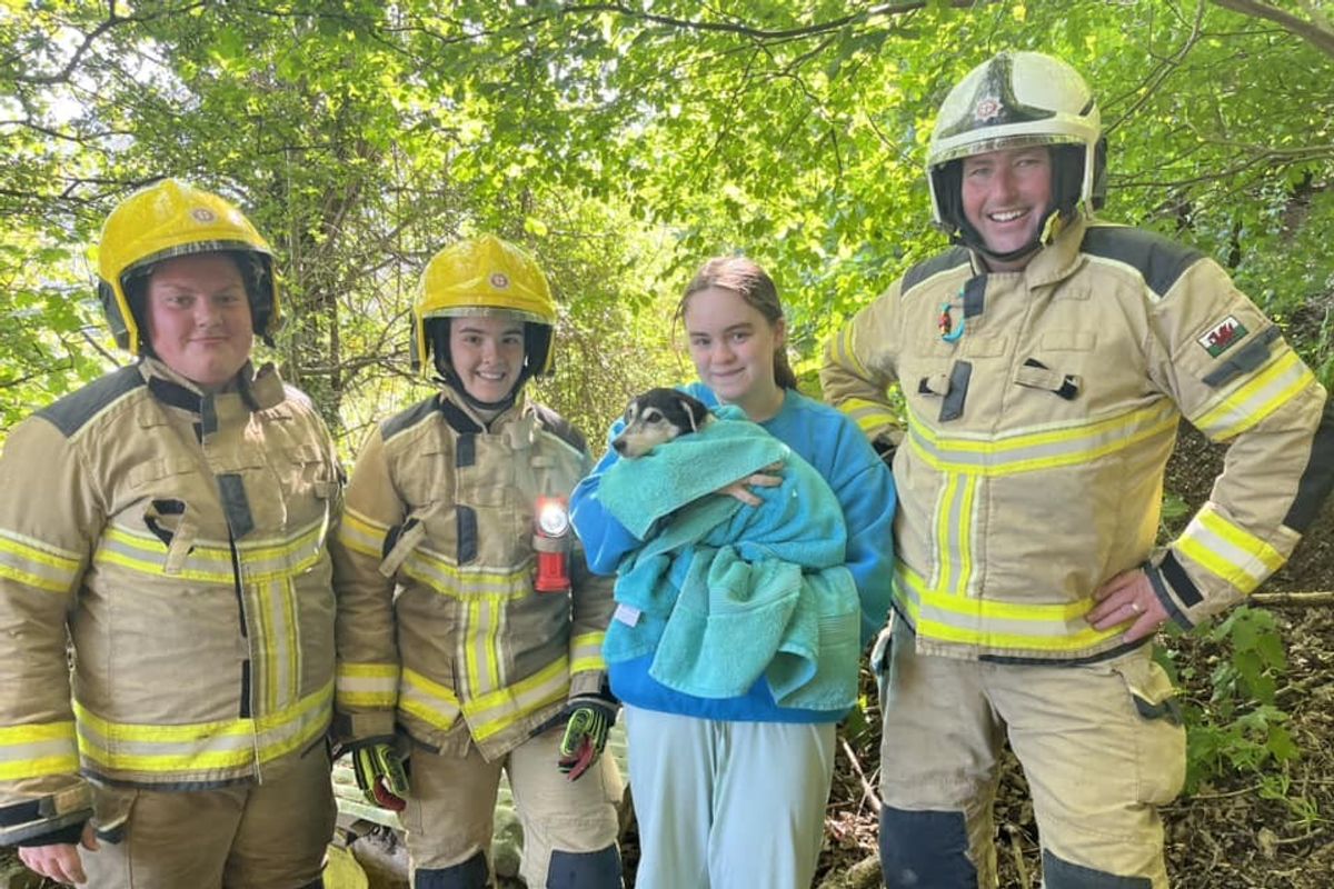 Rescued dog Jessica with firefighters