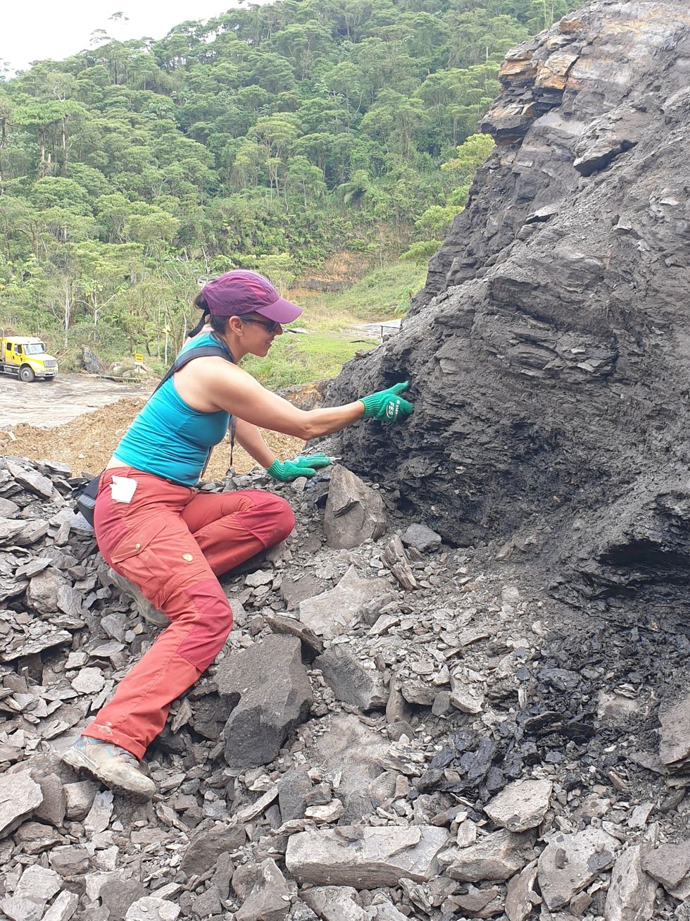 Researcher Monica Solorzano-Kraemer looks for amber at the Genoveva quarry in Ecuador\u200b