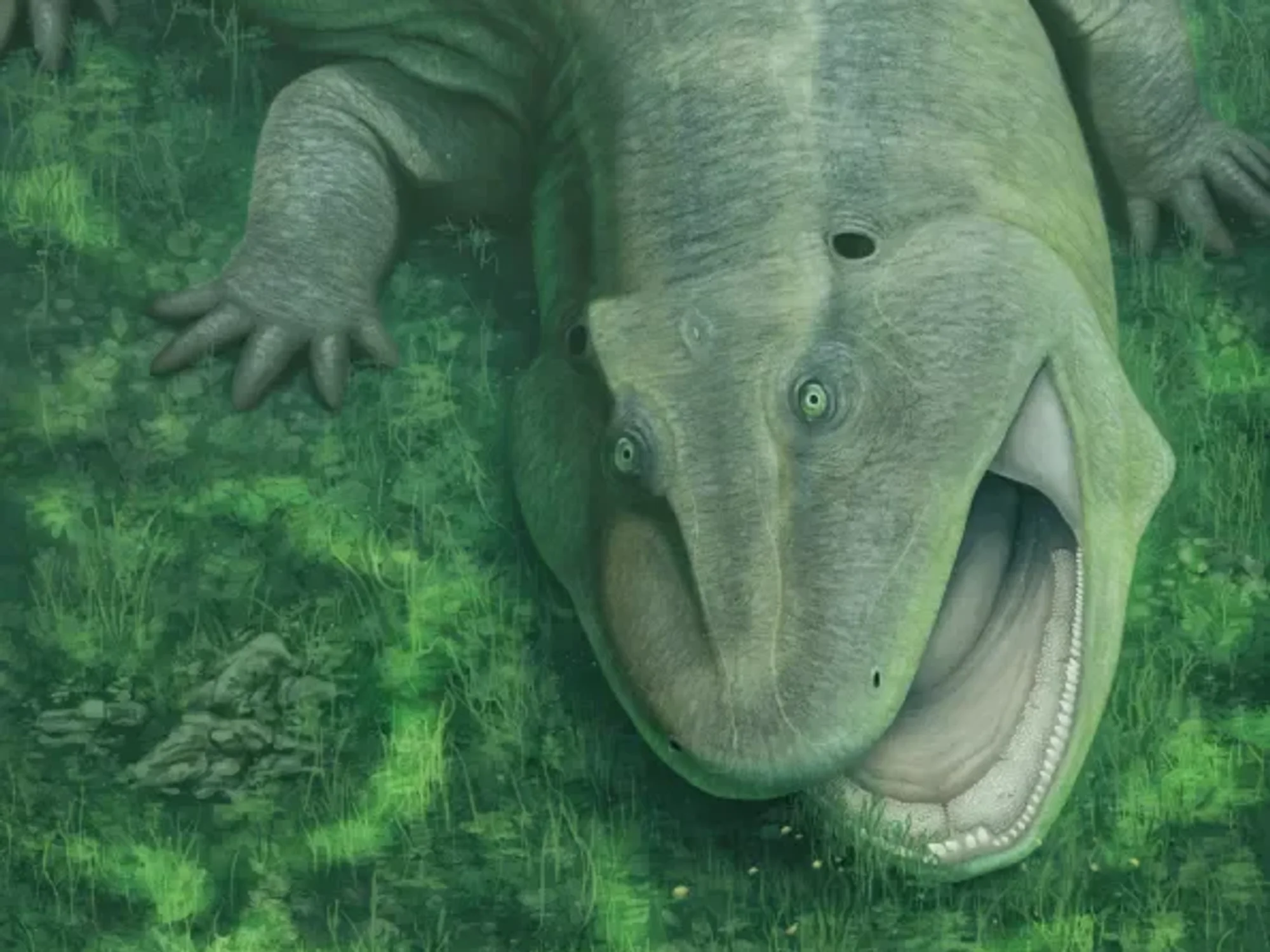 Gurning sea creature discovered by scientists is whole new species, new research reveals