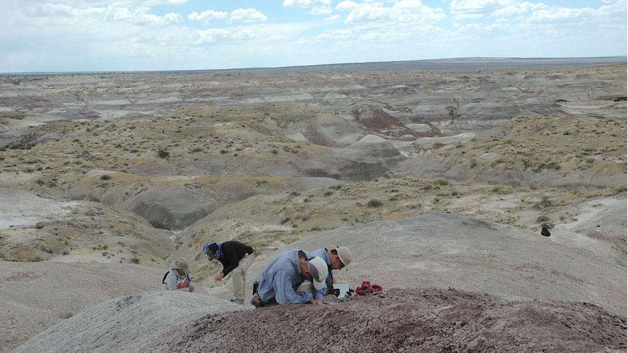 Researchers in New Mexico