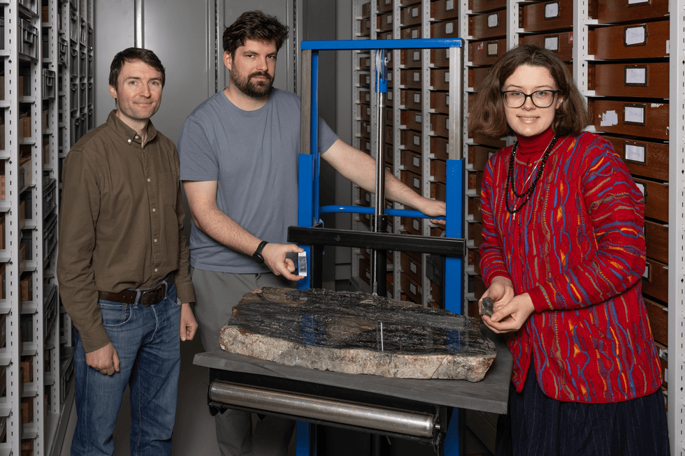 Researchers Sandy Hetherington, Corentin Loron and Laura Cooper (left to right) at the National Museums Collection Centre with sample fossils
