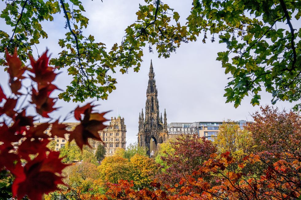 Residents near a historic British park have warned the area is now resembling a graveyard