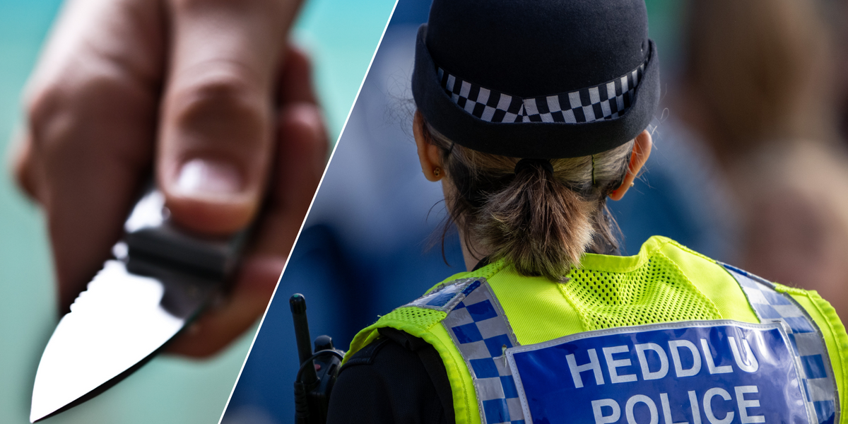 NextImg:Police left 'disappointed' after sending children to try and buy knives - as nearly half would sell blade to an under-18