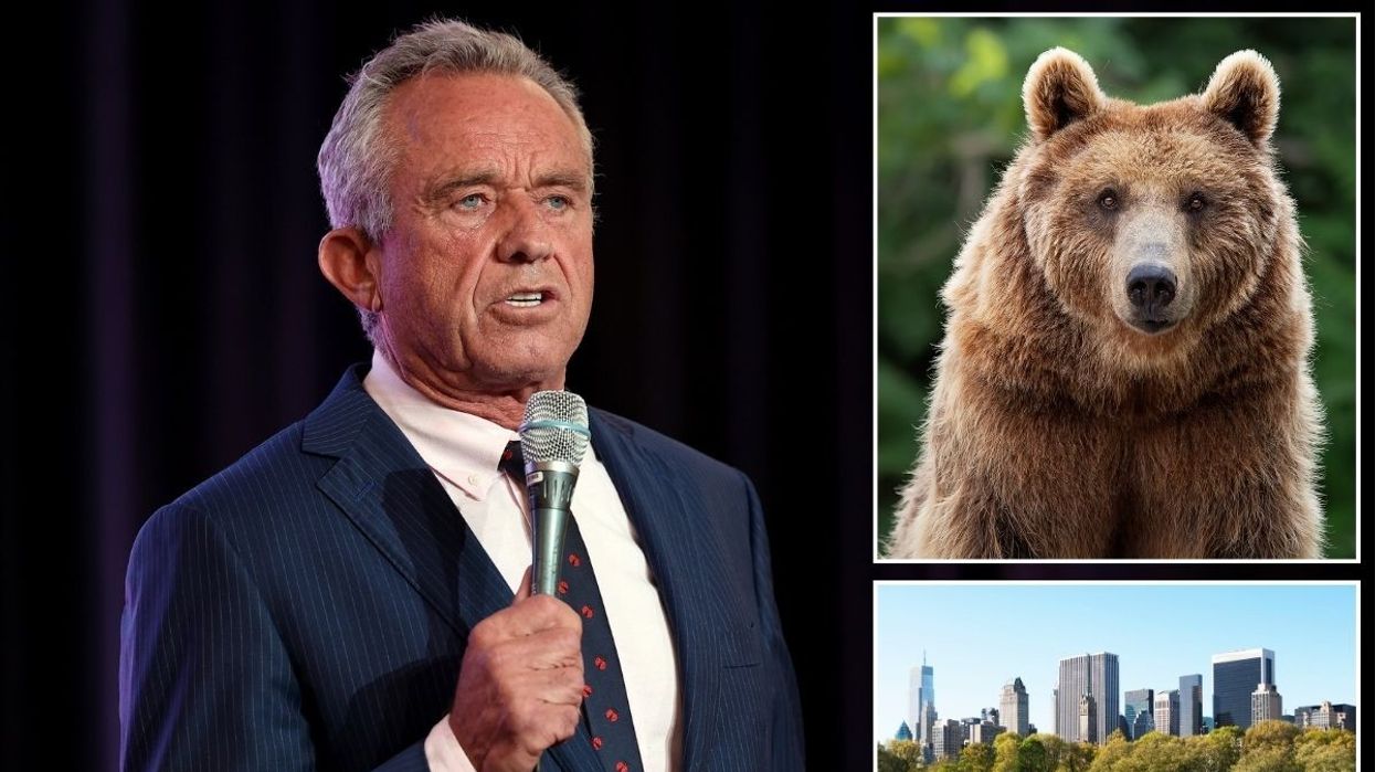 RFK Jr admits to dumping dead bear in Central Park in bizarre confession