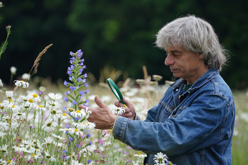 Richard Scott, Director of the National Wildflower Centre at the Eden Project