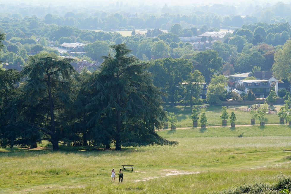 Richmond Park