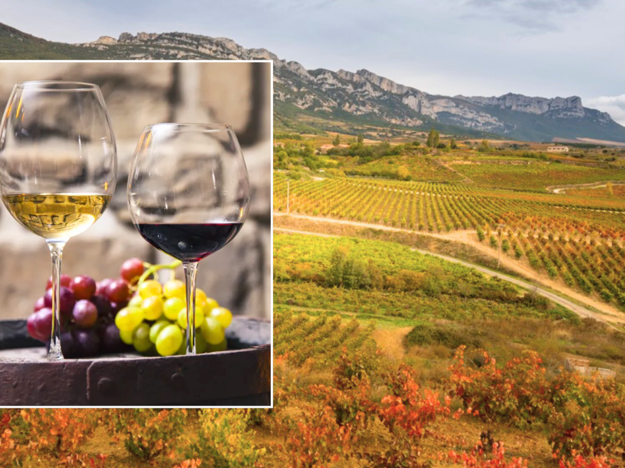 Rioja Spain vineyards / glass of white and red wine