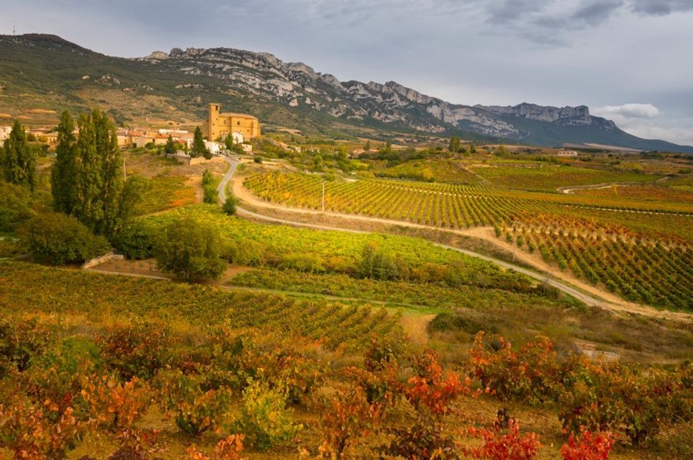 Rioja Spain vineyards