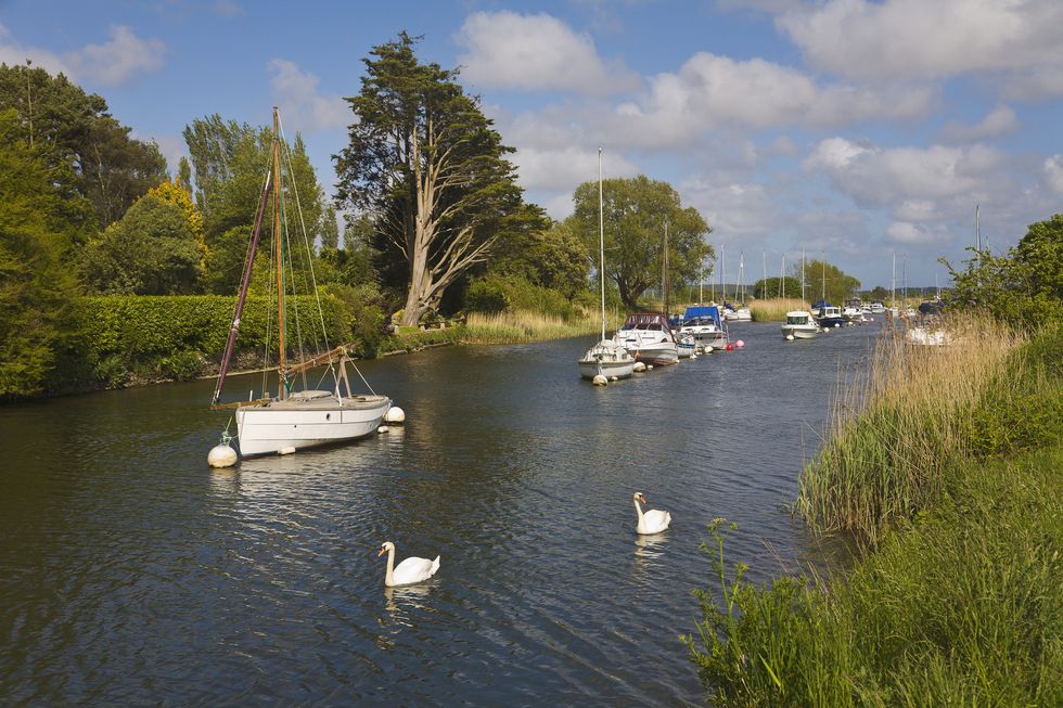 River Avon, Dorset