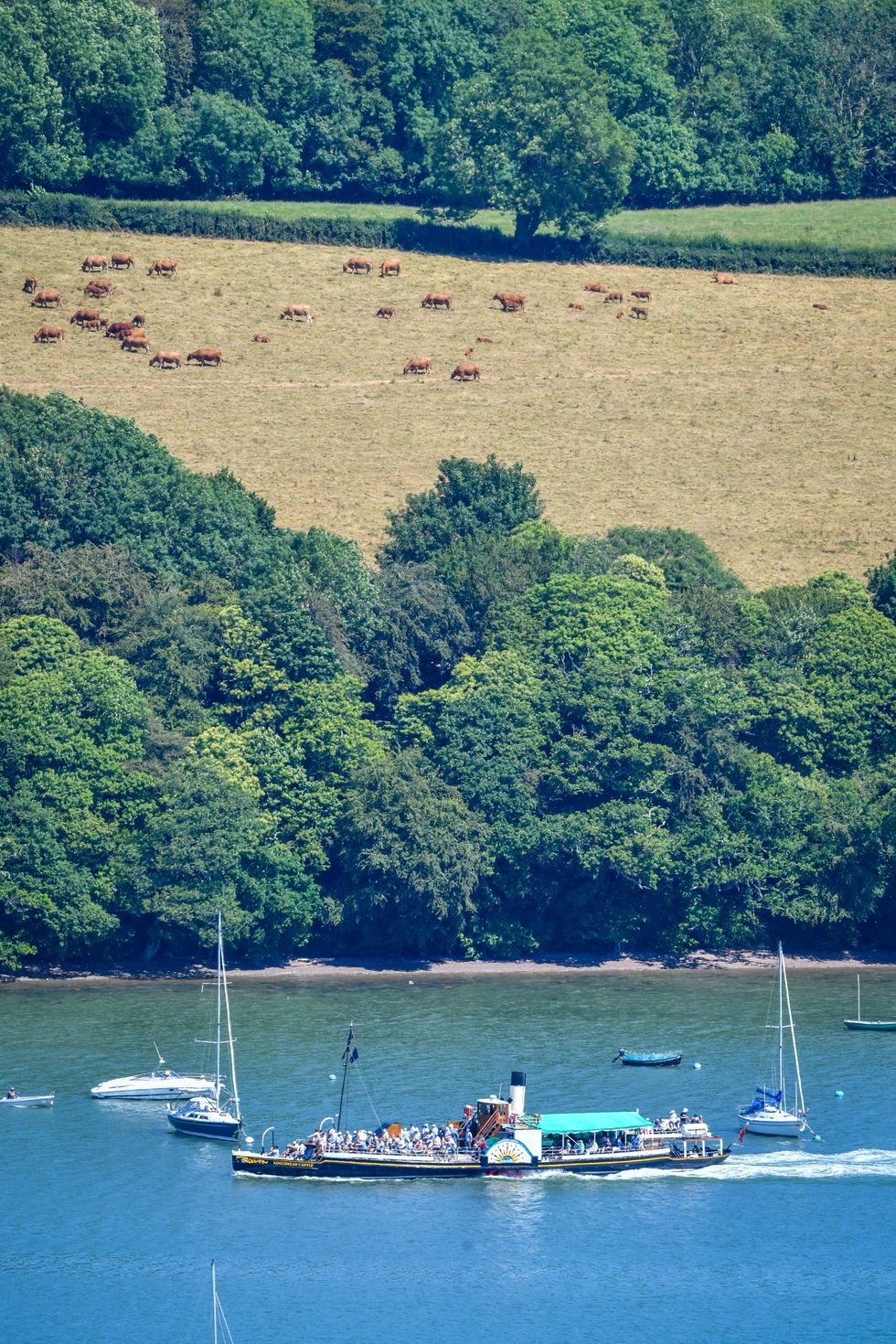 River Dart
