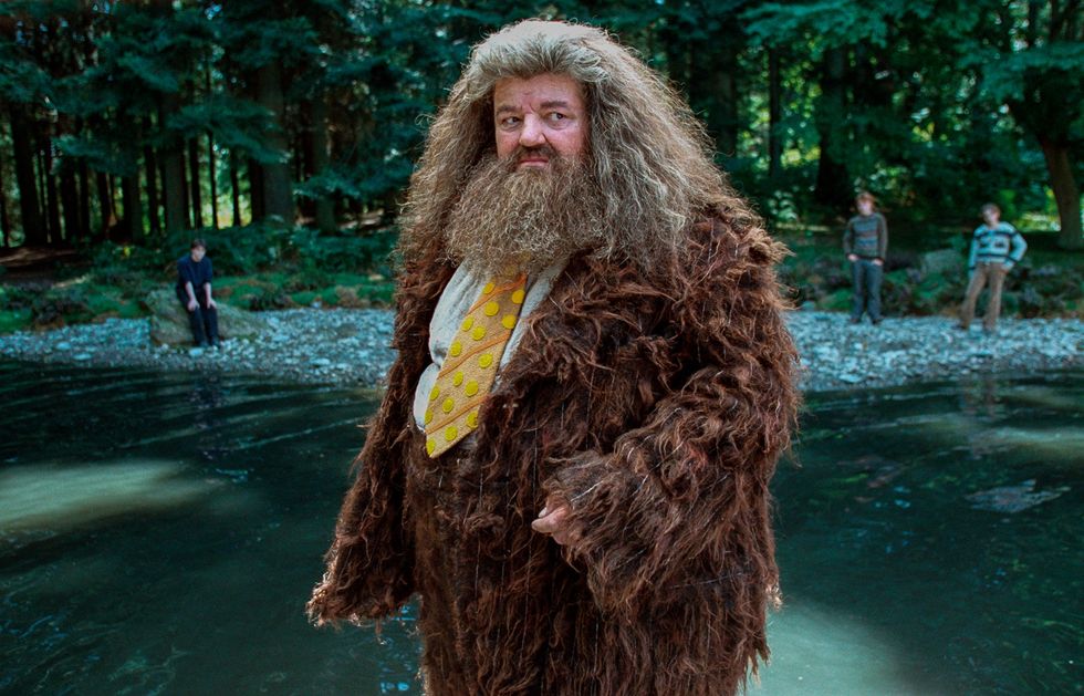Robbie Coltrane as Hagrid