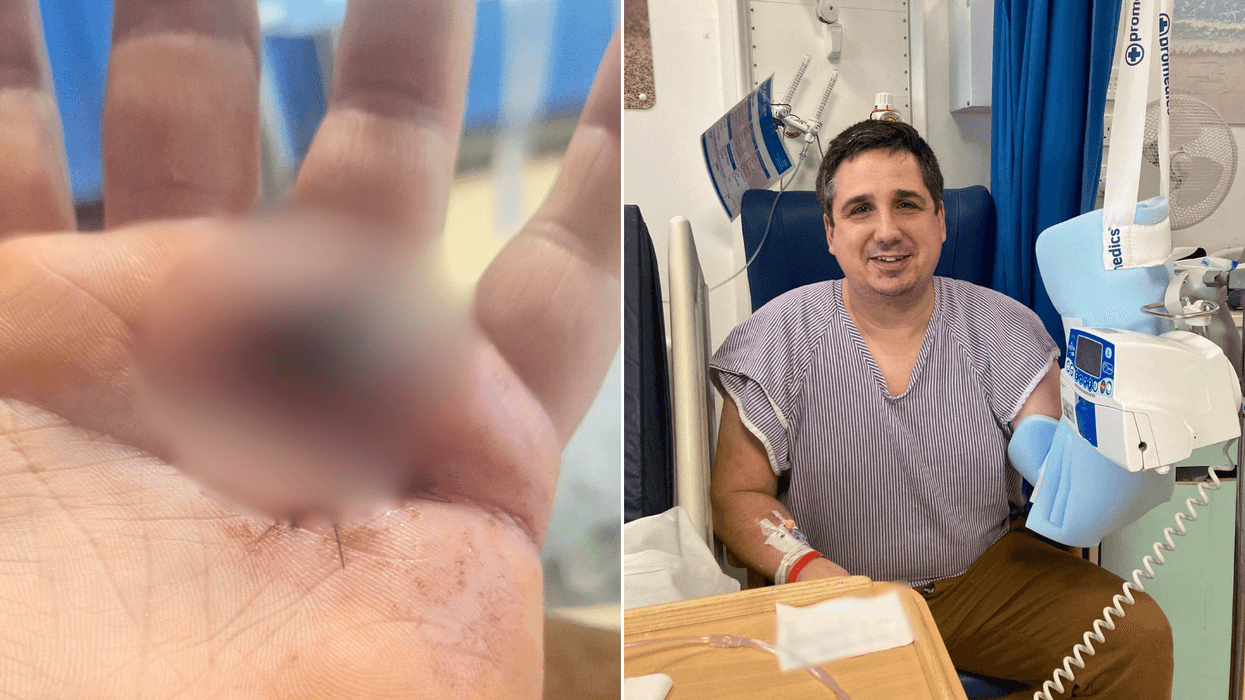 Robert Hutton's hand/Robert Hutton