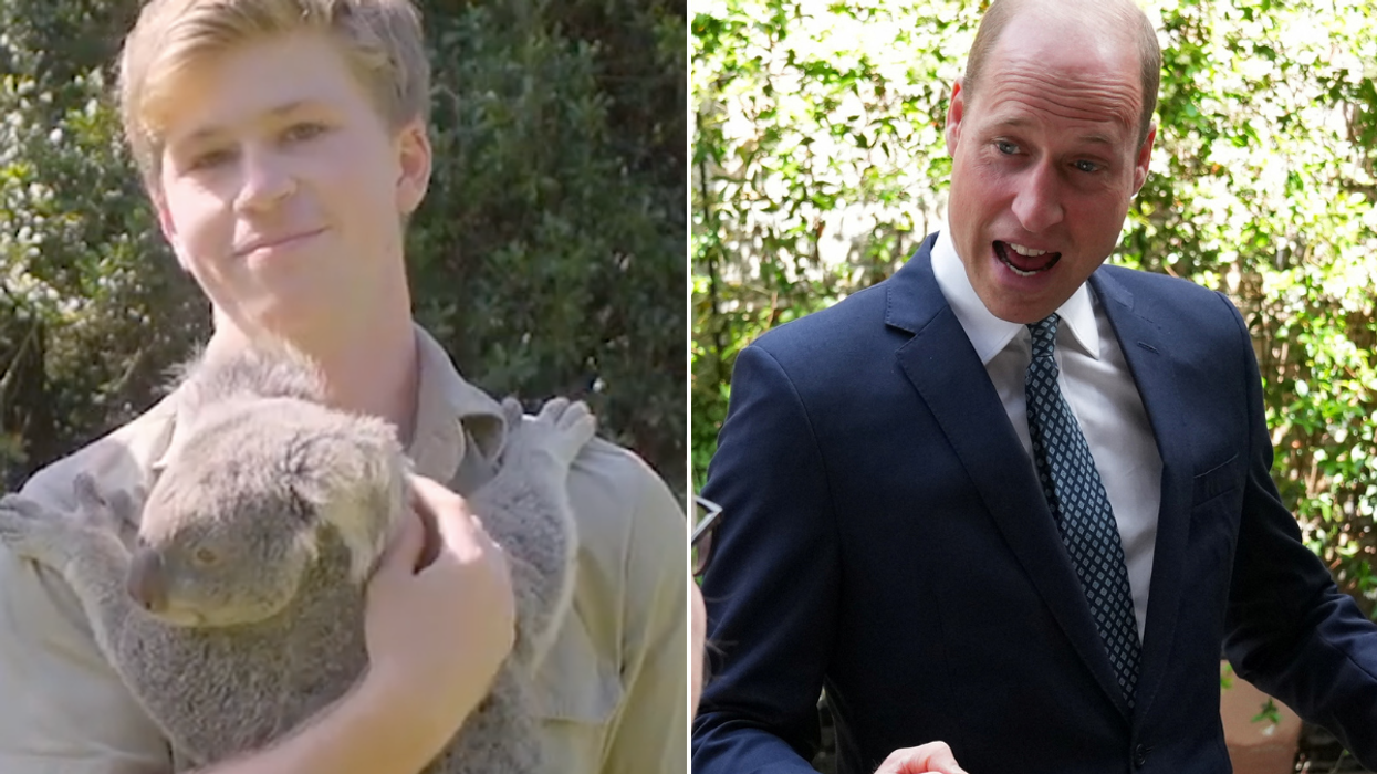 Robert Irwin has been named as an ambassador