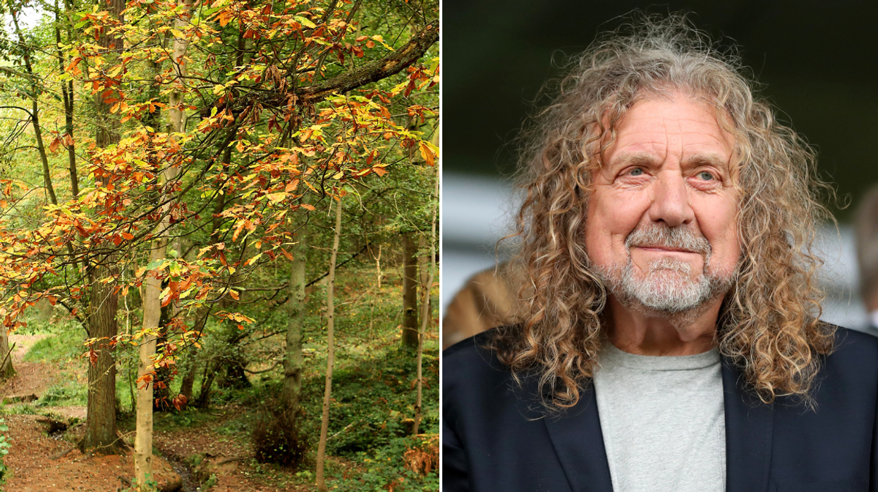 Robert Plant Wyre Forest