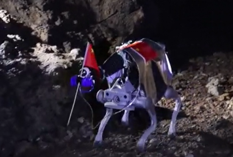 Robotic dogs