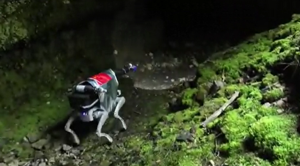 Robotic dogs