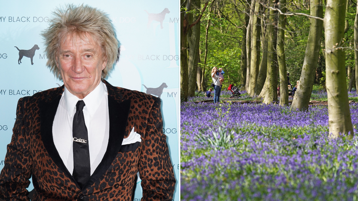 Rod Stewart Epping Forest