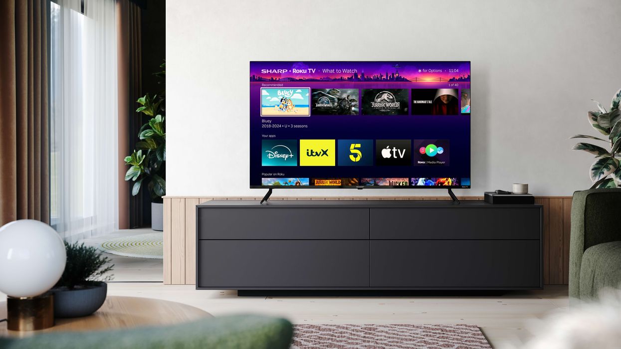 Roku What To Watch pictured on the flatscreen