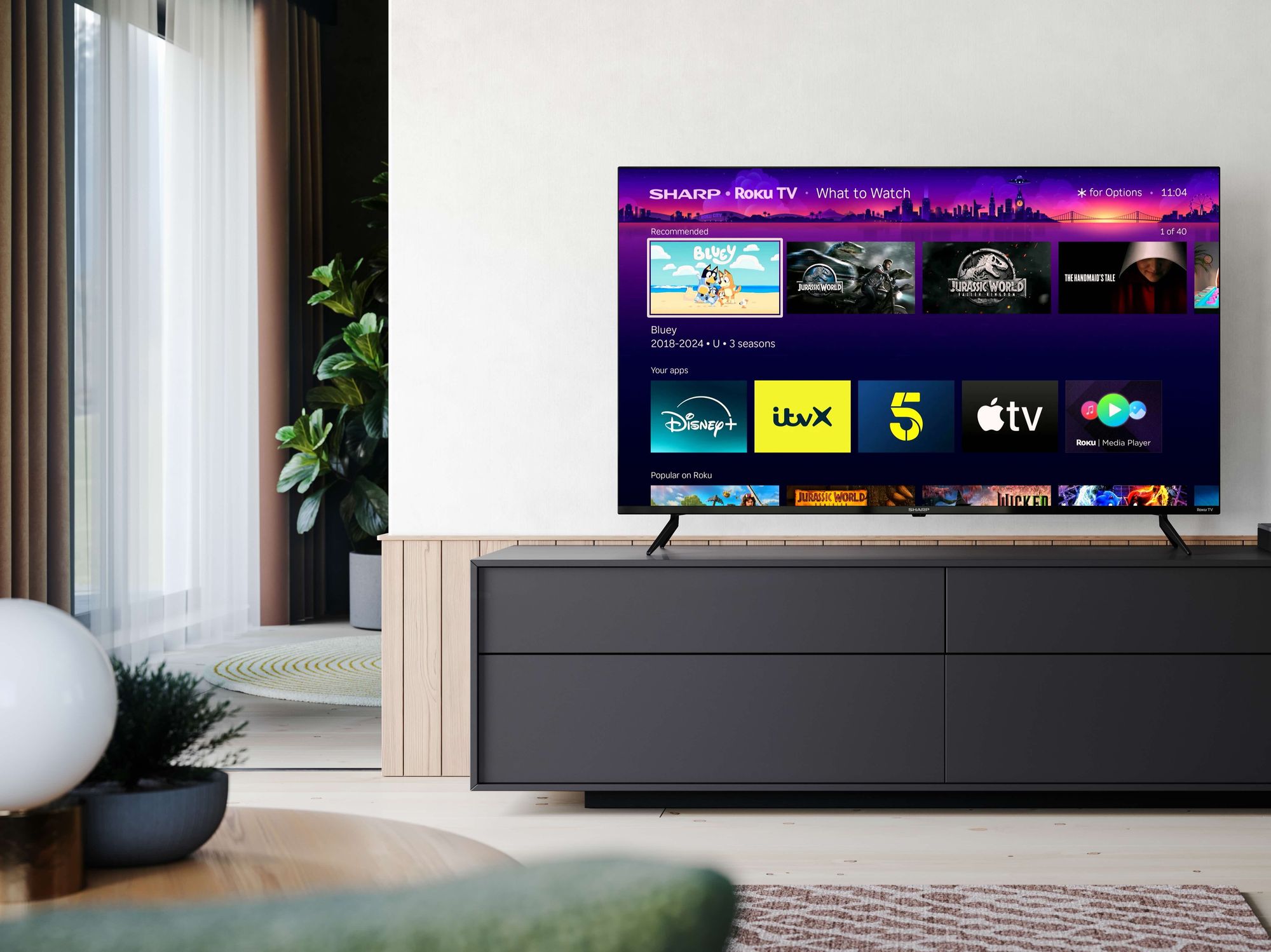 Roku What To Watch pictured on the flatscreen