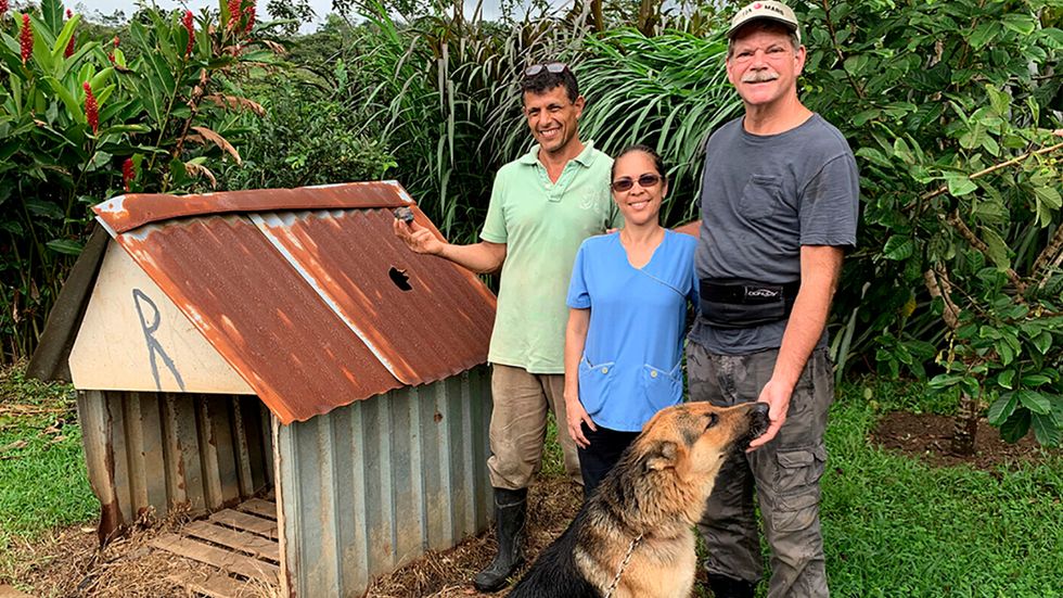 Roky the German Shepherd had a narrow escape when a meteorite crashed through the tin roof of his kennel in April 2019