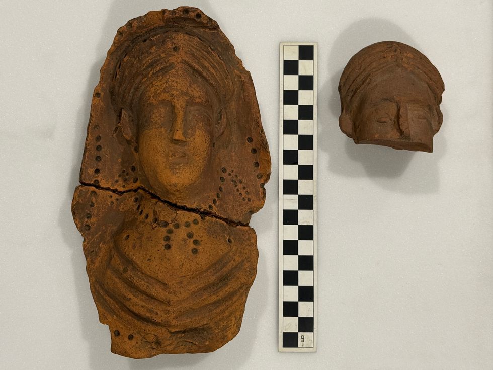 Roman-era terracotta head unearthed by volunteer excavators
