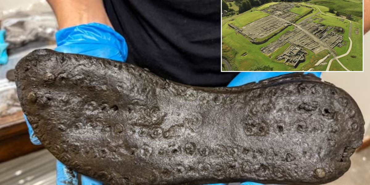 NextImg:Archaeology breakthrough near Hadrian's Wall leaves scientists 'baffled'