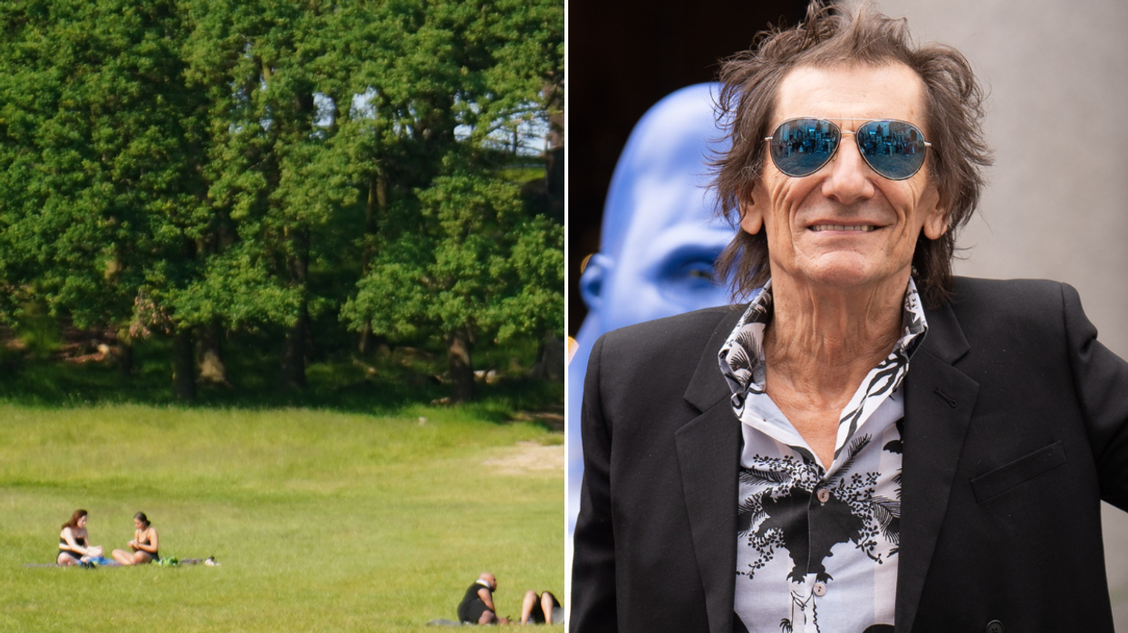 Ronnie Wood Richmond Park