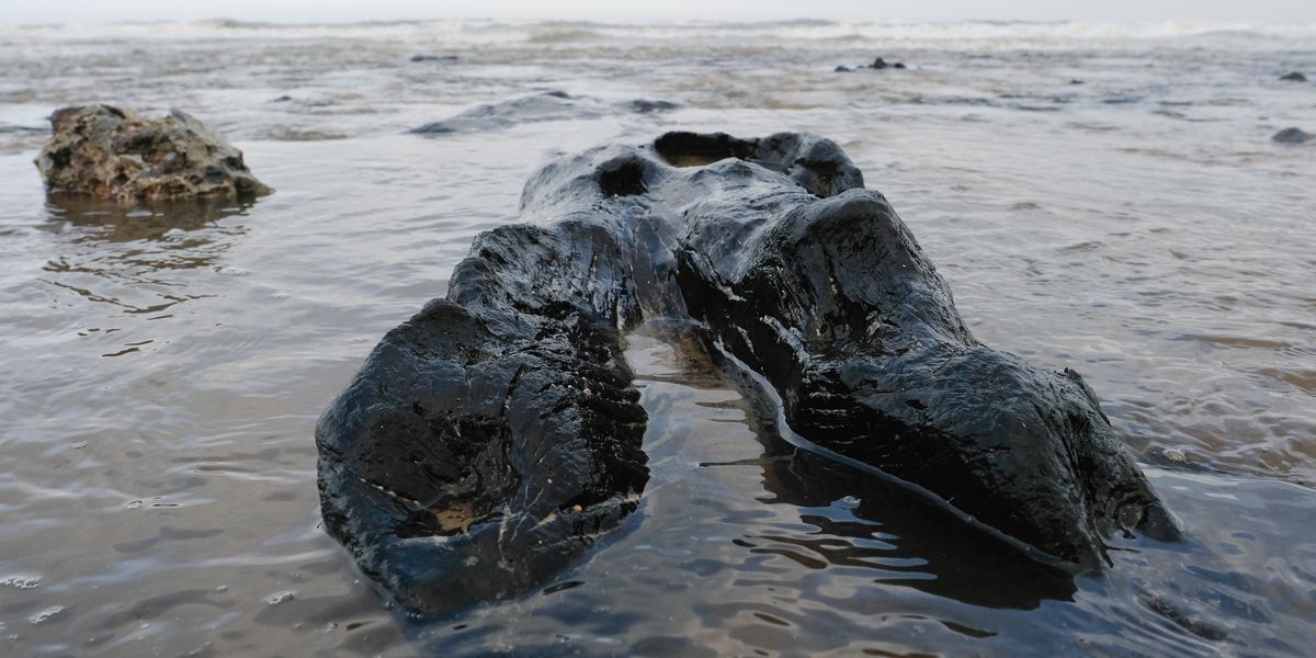 Ancient secrets revealed along iconic British coastline after sea washes sand away Ancient secrets revealed along iconic British coastline after sea washes sand away