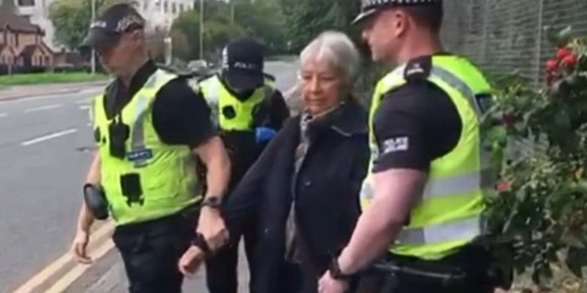 NextImg:Grandmother, 75, led into police van and arrested after holding 'here to talk' sign outside hospital
