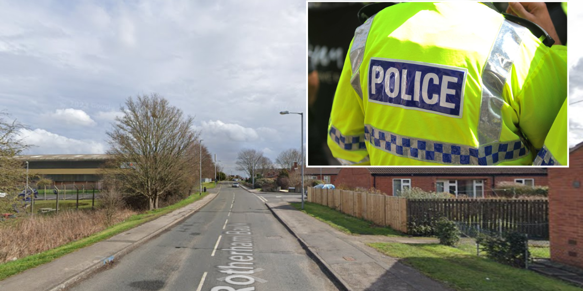NextImg:Two men arrested on suspicion of manslaughter after falling tree kills teenager