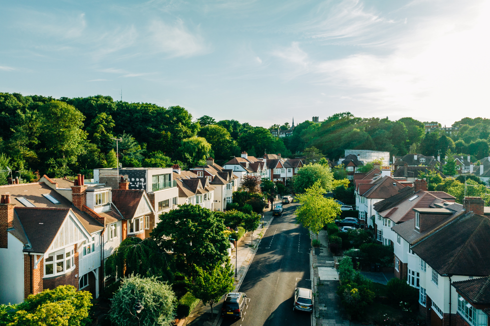 Row of houses surrounded by trees